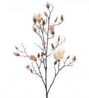 Magnolia Vit/Rosa 110 cm