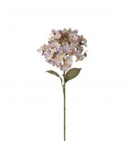 Hortensia 65 cm - Lila